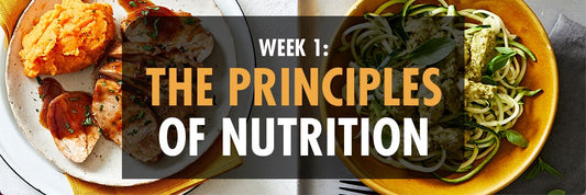 WEEK 1: THE PRINCIPLES OF NUTRITION